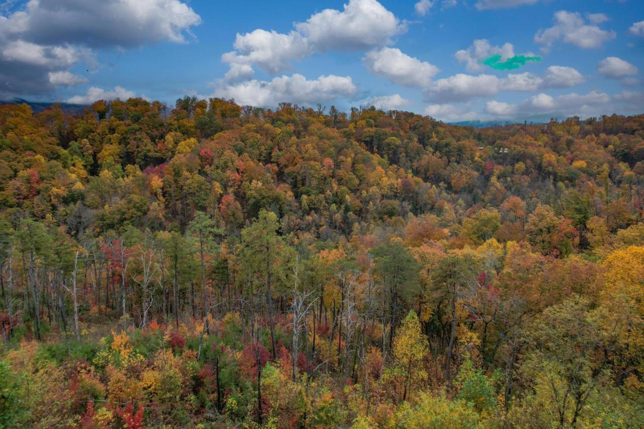 The Overlook - '21 Cabin - Gorgeous Unobstructed Views - Fire Pit Table - Gamerm - Hottub - Xbox - Lots Of Bears Gatlinburg Kültér fotó